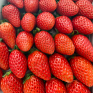 ricayomo