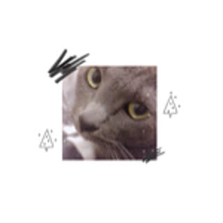 axxxexs