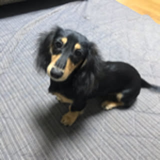 yuko