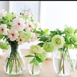 clovermam