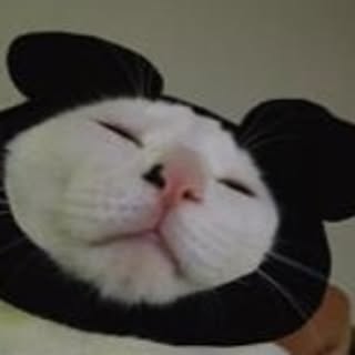 Aimi