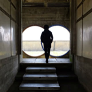 M.S.J