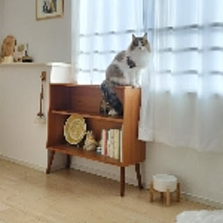 MichelinAyaka