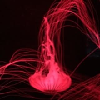 en