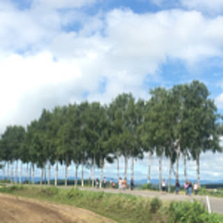Pata
