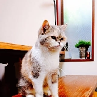 masuko