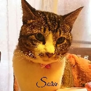 catriene0123