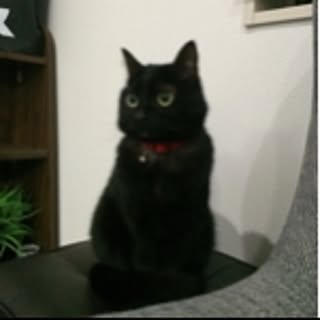 Mi