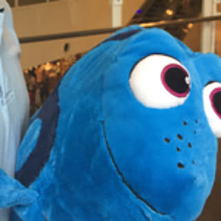 dory75