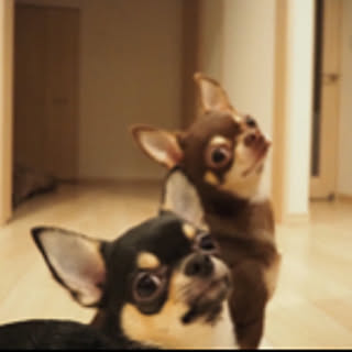 maakooo
