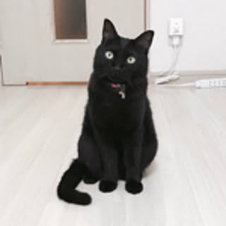 kuro