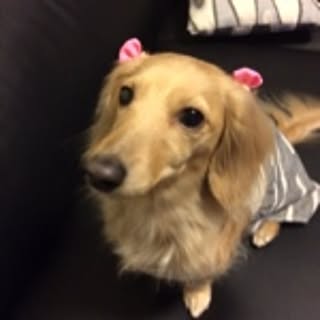 miumiu