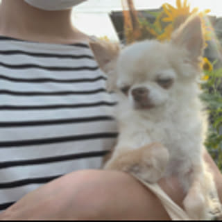 cocochama