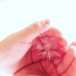 yuukiman.