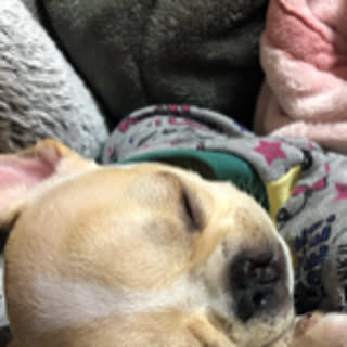 hiro