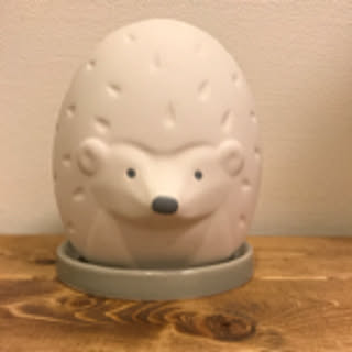 bo-zu