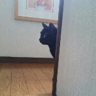 RiNPU