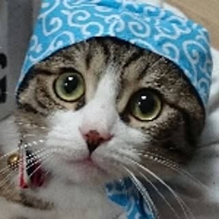 fukusuke