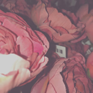 rio_o74