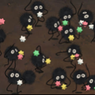 sugi
