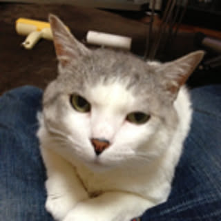 haku