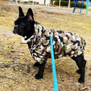 YUKA