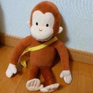 sachi