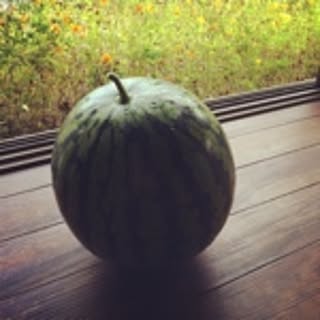 Watermelon