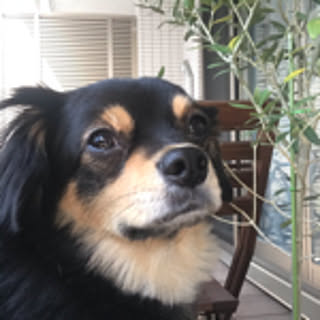 runechan