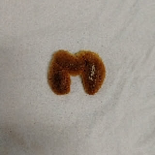 mikachi