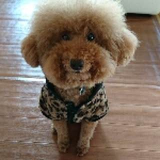 mumumu