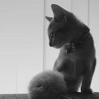 Mae