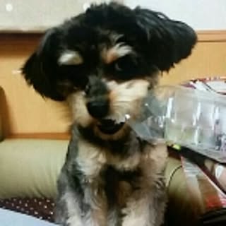 yama