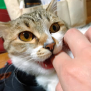 pomu