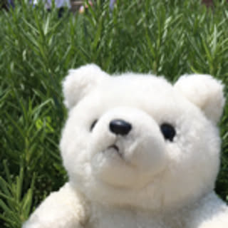 kuru