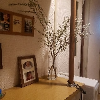 shishishi24ko