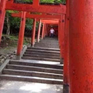 Hiroki