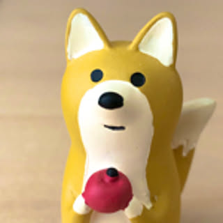popuri