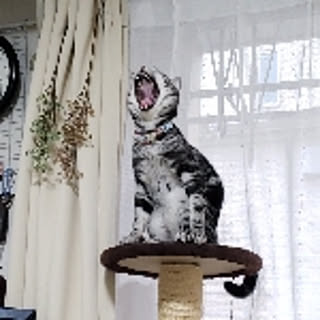 hiro