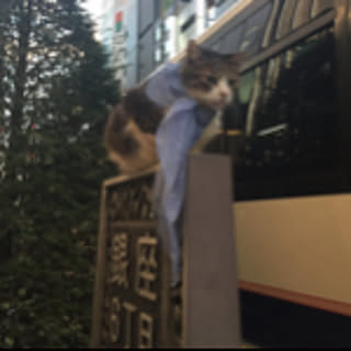 JSKYBOY