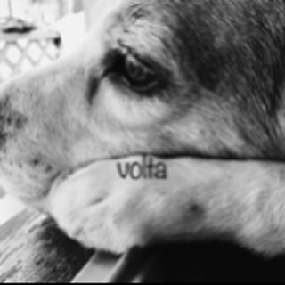 volta