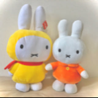 ss.x.hoom