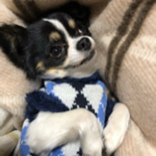 foofuku