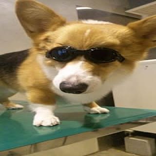 Aki1.7.2.4