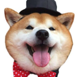 YANKUN_YANKUN