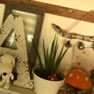 snoopykun