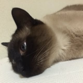 Miki