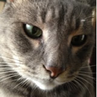 kuru