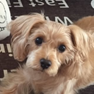 Yuka