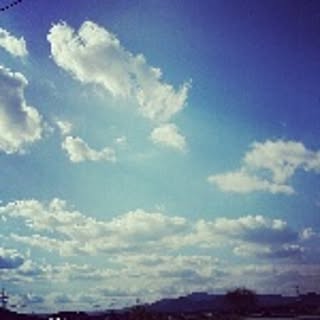 ayacoco